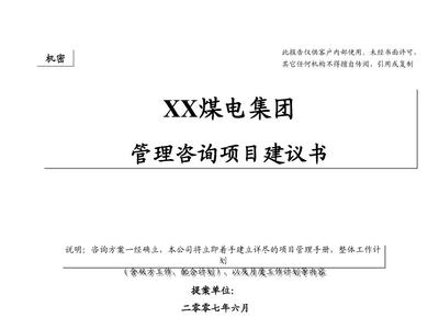 XX戰(zhàn)略建議書(shū)