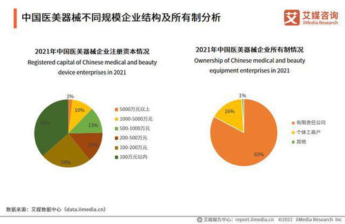 艾媒咨詢 2022 2023年中國(guó)醫(yī)美器械產(chǎn)業(yè)運(yùn)行及投資決策分析報(bào)告