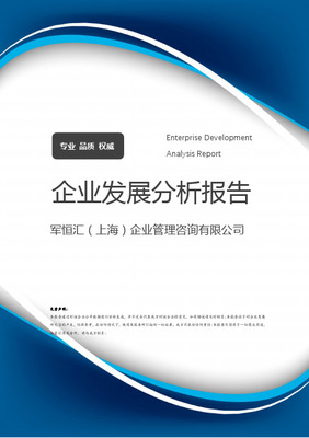 公司企業(yè)管理咨詢報告